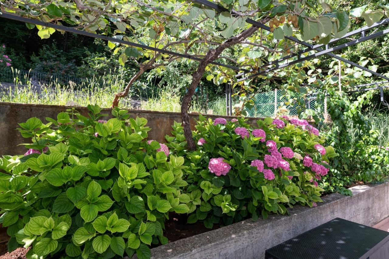 Apartman Sanja Opatija Buitenkant foto